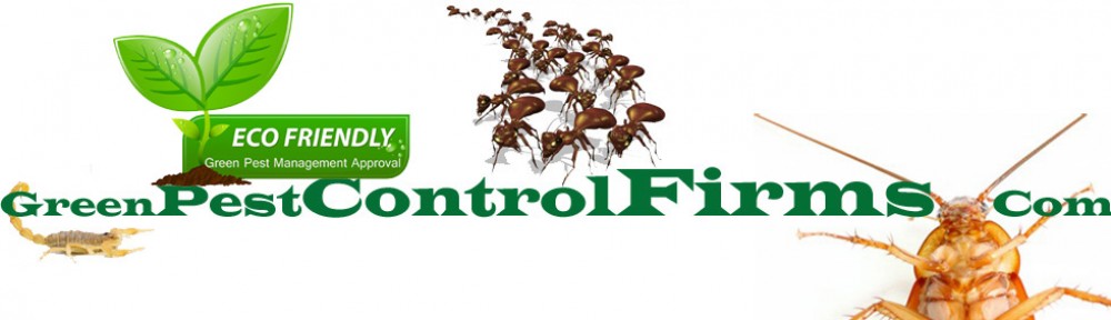 Green Pest Control